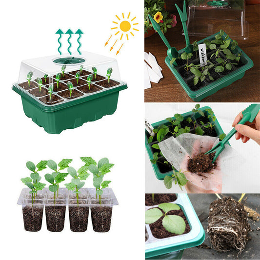 10 Set 12 Hole Plant Seeds Grow Box Propagation Nursery Seedling Starter Tray AU